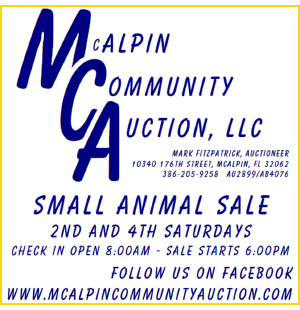 2-7-24 MCA AUCTION BANNER